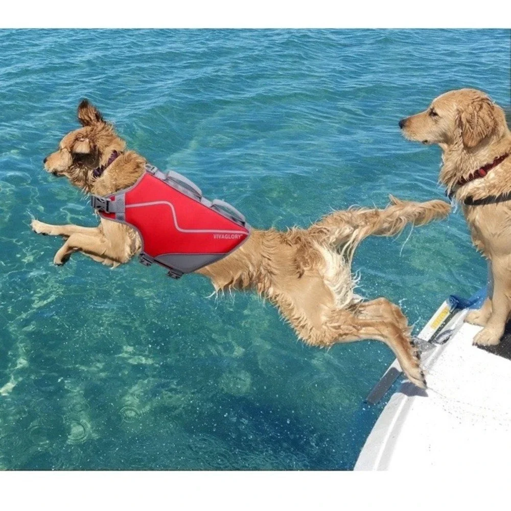 Vivaglory Neoprene Dog Life Jacket, Style Dog Life vest, Medium, Red‎